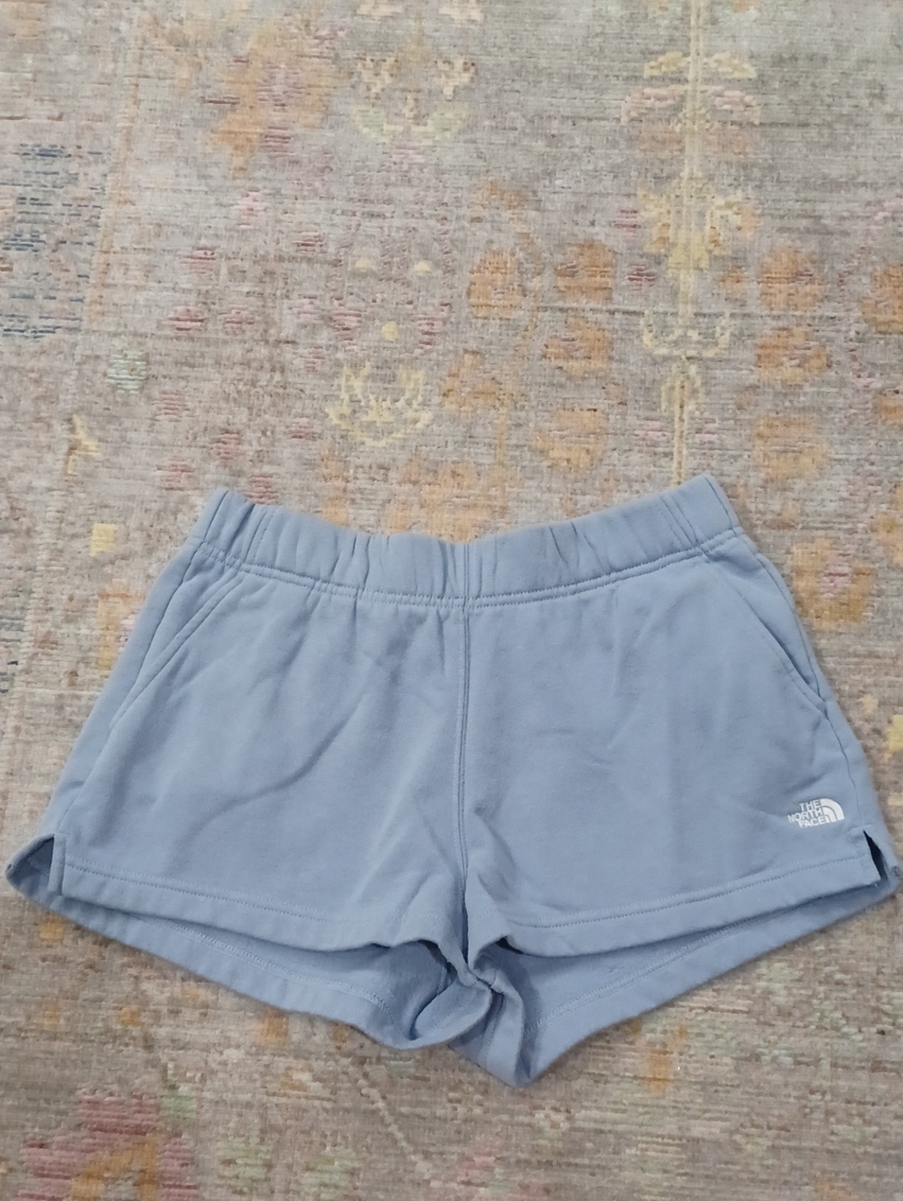 The North Face Half Dome Logo Shorts